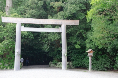 th__MG_9993.jpg