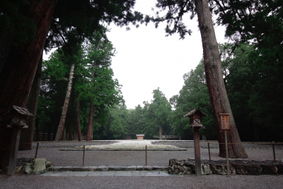 th__MG_9999.jpg