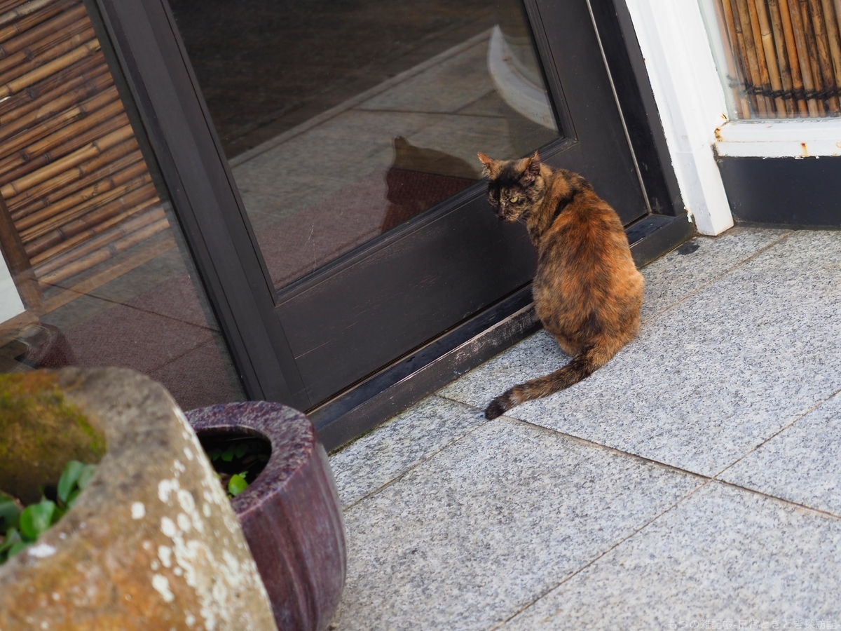 f:id:exceed-yukikaze:20191209204825j:plain f:id:exceed-yukikaze:20191209204825j:plain