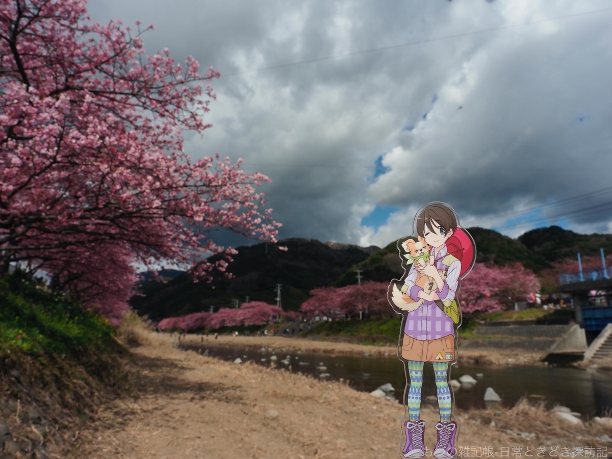 f:id:exceed-yukikaze:20200213211118j:plain f:id:exceed-yukikaze:20200213211118j:plain