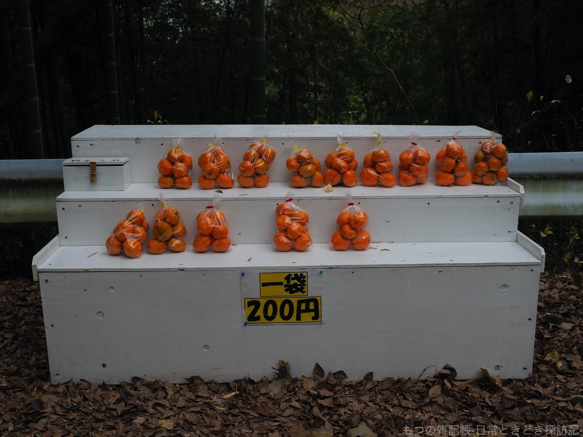 f:id:exceed-yukikaze:20200316213721j:plain f:id:exceed-yukikaze:20200316213721j:plain