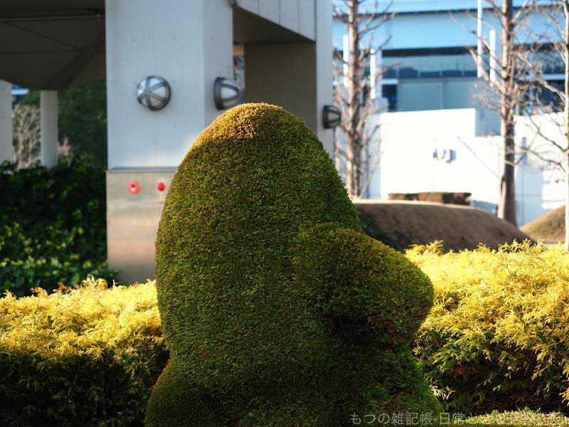 f:id:exceed-yukikaze:20210302161744j:plain