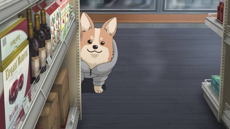 f:id:exceed-yukikaze:20210402215248j:plain