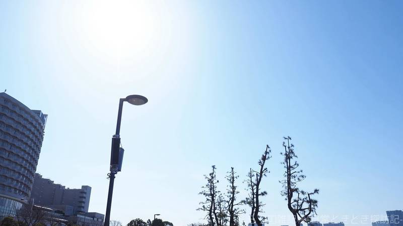 f:id:exceed-yukikaze:20210724233217j:plain