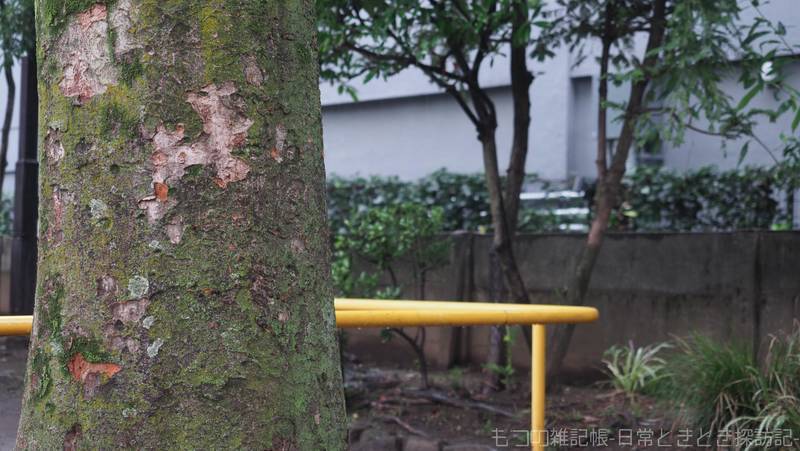 f:id:exceed-yukikaze:20210906172457j:plain