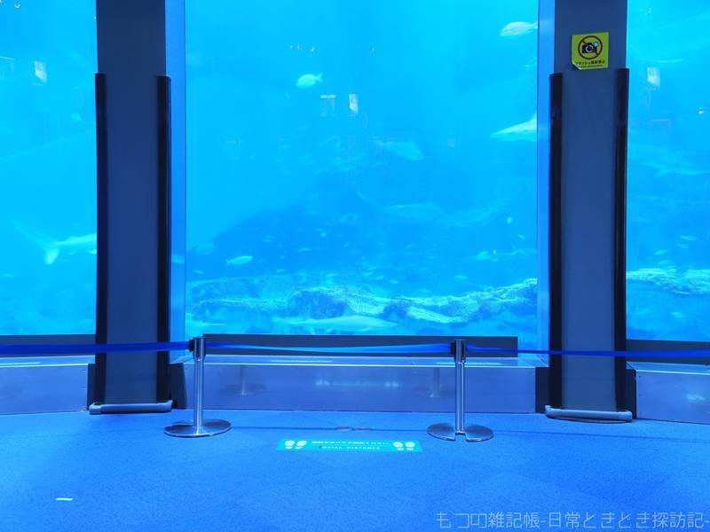 f:id:exceed-yukikaze:20211122212221j:plain