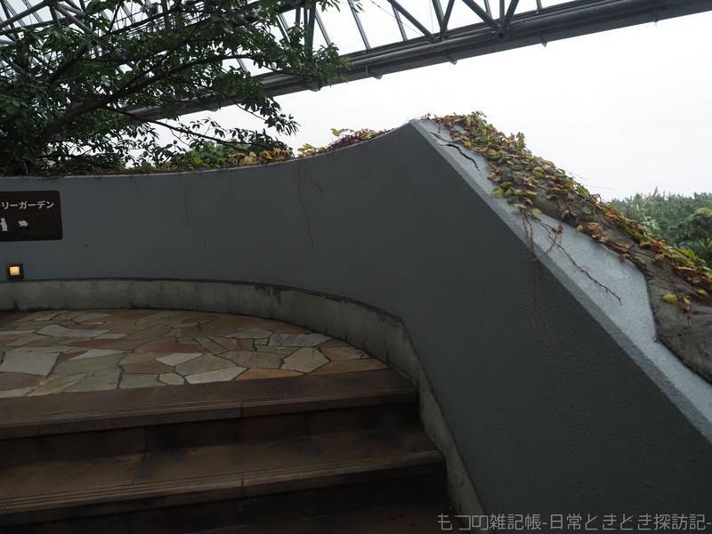 f:id:exceed-yukikaze:20211122212405j:plain