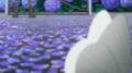 20260705142606