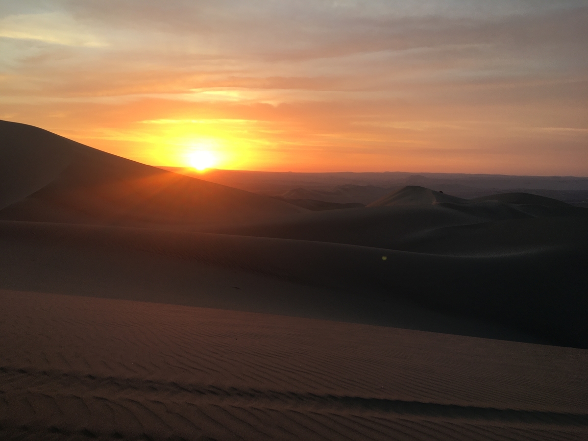f:id:exciting-sky:20200115061849j:plain f:id:exciting-sky:20200115061849j:plain