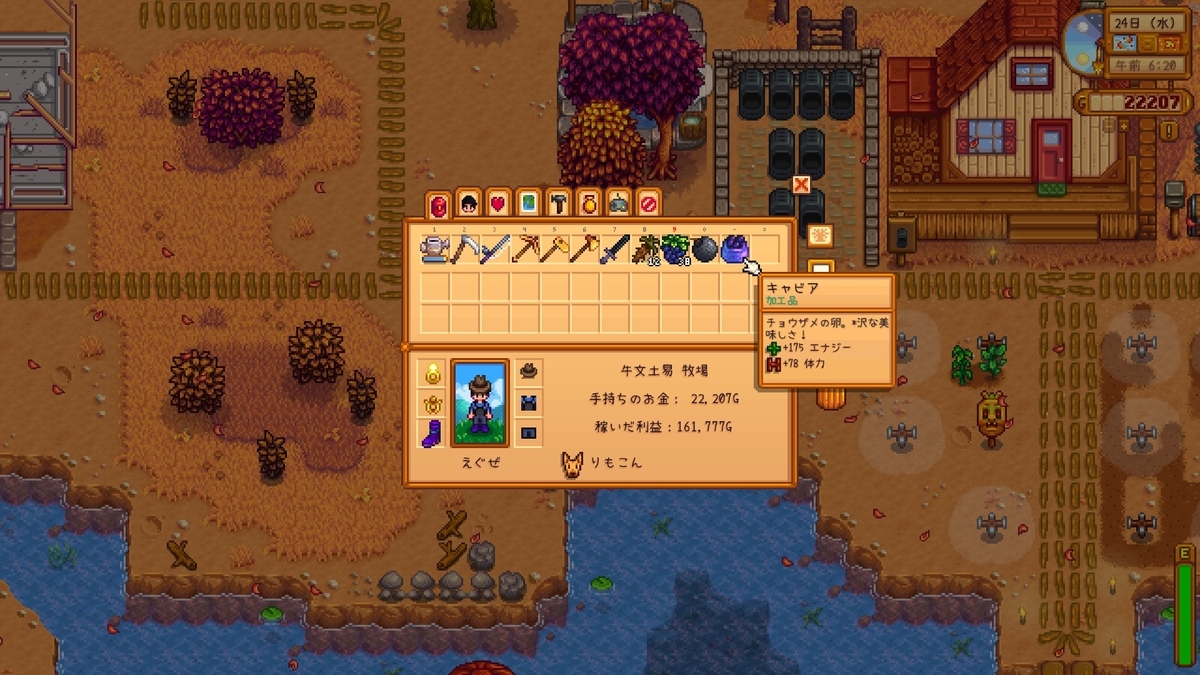 Stardew Valley 下水道へ えぐぜの なんか えーと あれです あれ
