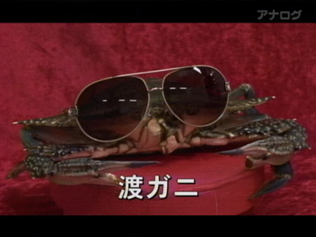 f:id:exit24:20100129020755j:image