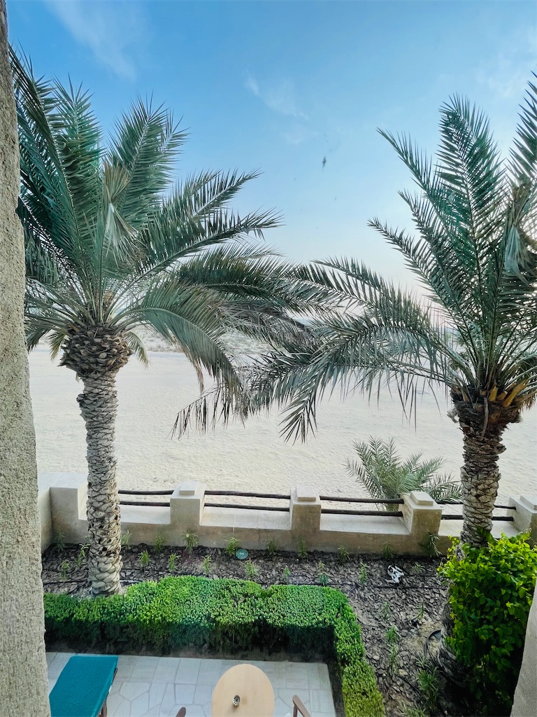 f:id:exlight:20250104100000j:image f:id:exlight:20250104100000j:image