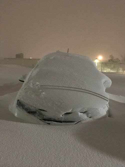 f:id:exloyks:20190117232303j:plain f:id:exloyks:20190117232303j:plain