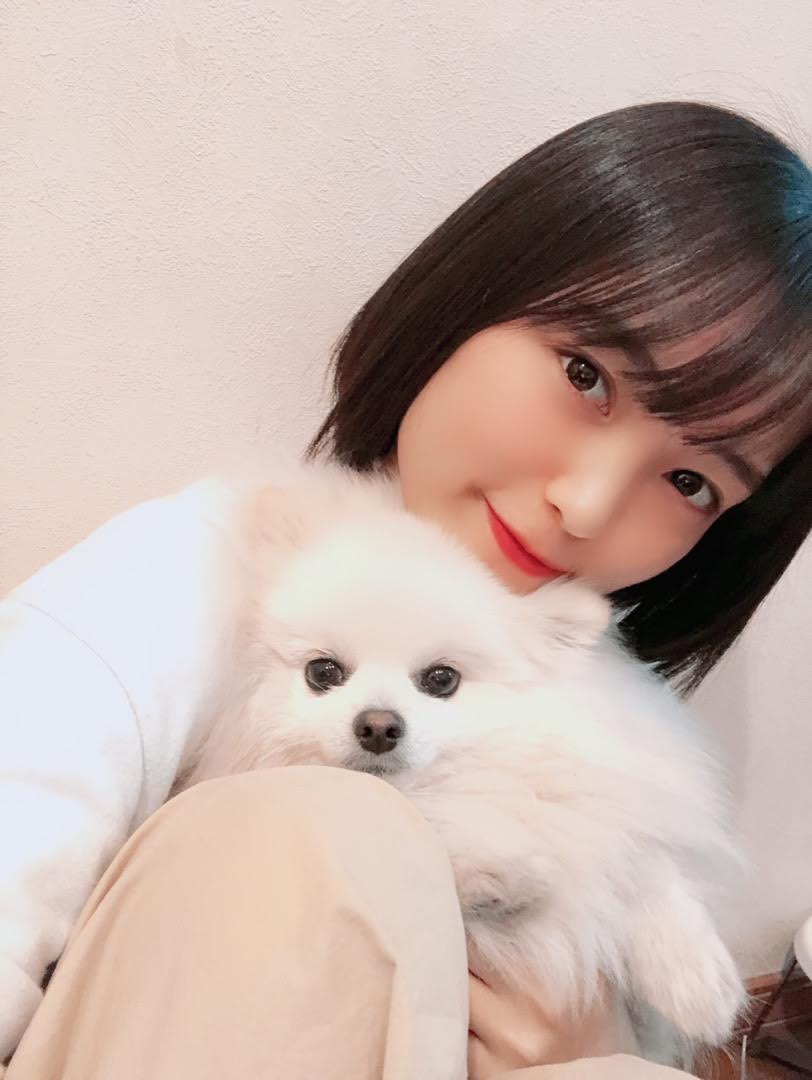 f:id:exloyks:20201230231725j:plain