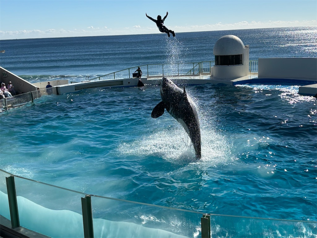 f:id:exloyks:20250210222125j:image