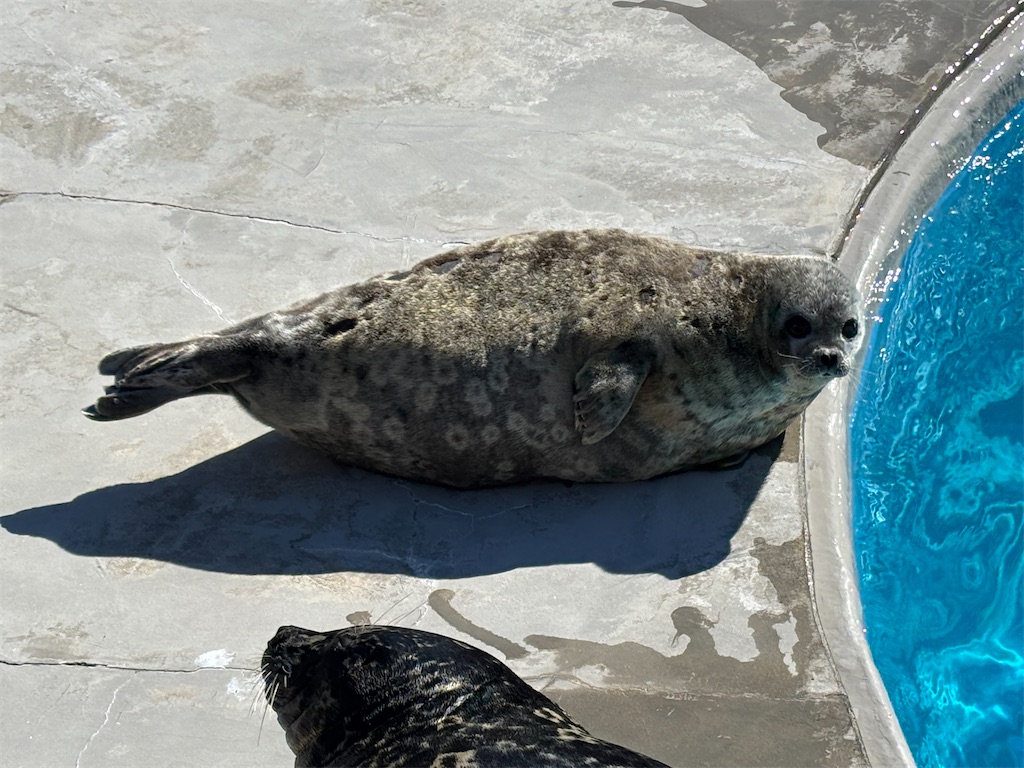 f:id:exloyks:20250210222138j:image