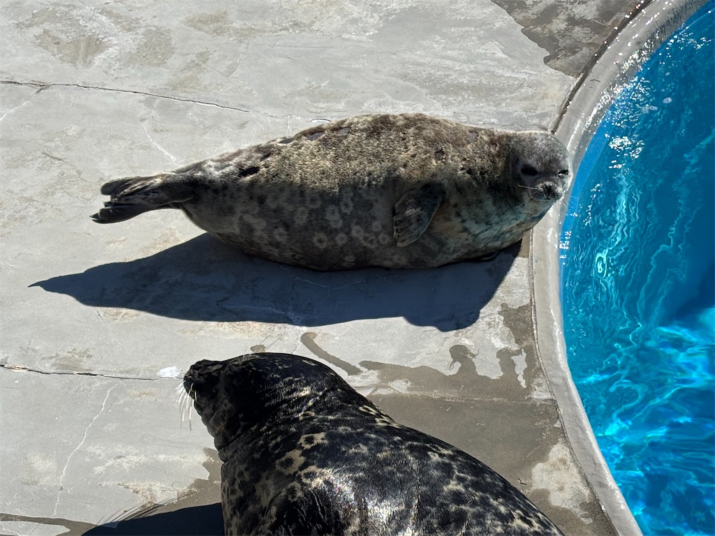 f:id:exloyks:20250210222152j:image