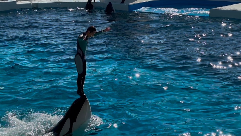 f:id:exloyks:20250210222330j:image