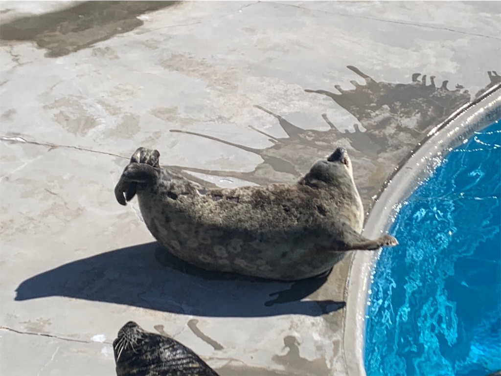 f:id:exloyks:20250217152908j:image