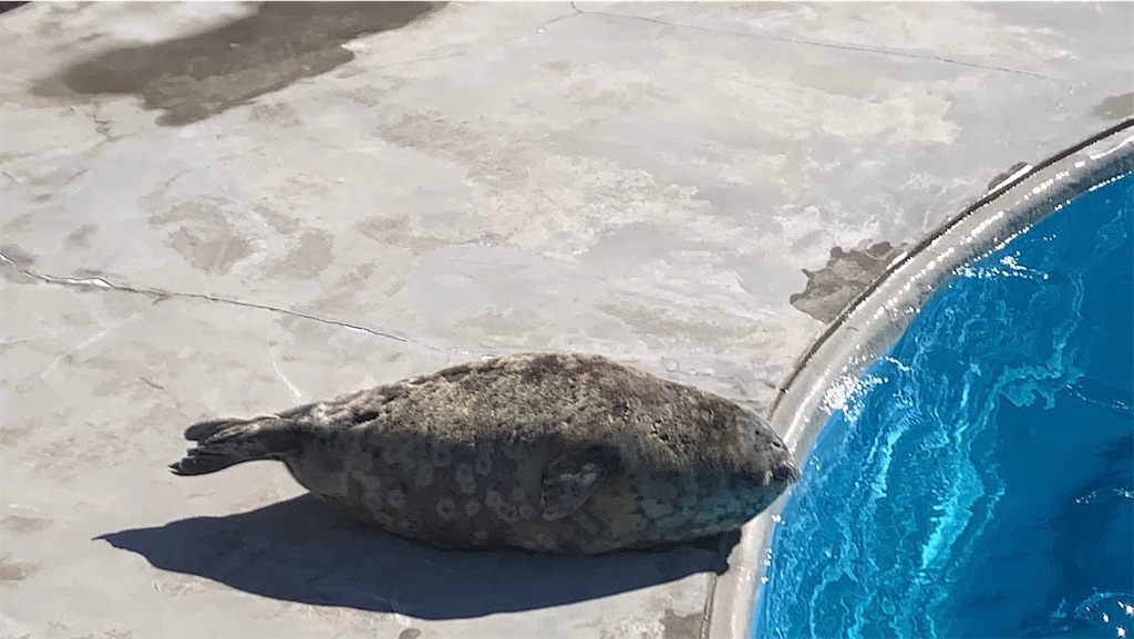 f:id:exloyks:20250217153137j:image