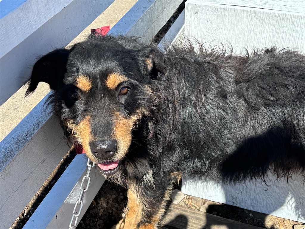 f:id:exloyks:20250405130800j:image