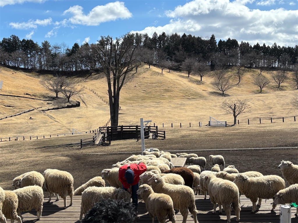 f:id:exloyks:20250405130828j:image