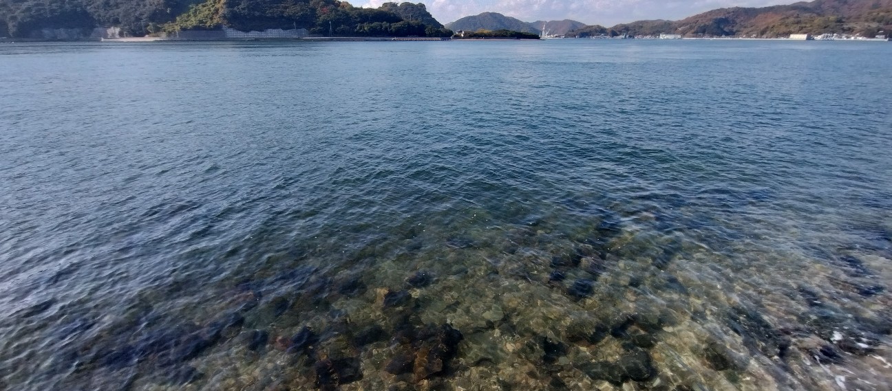 f:id:exmaruisu:20241204003517j:image