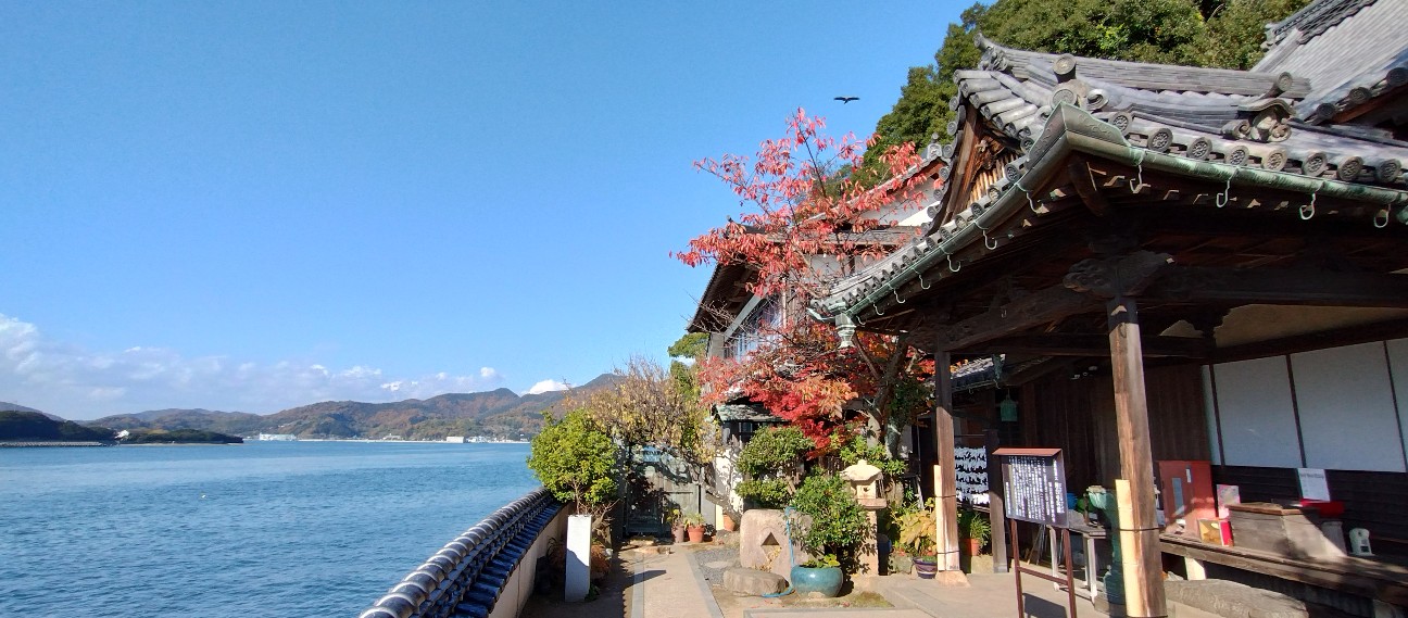 f:id:exmaruisu:20241204003528j:image