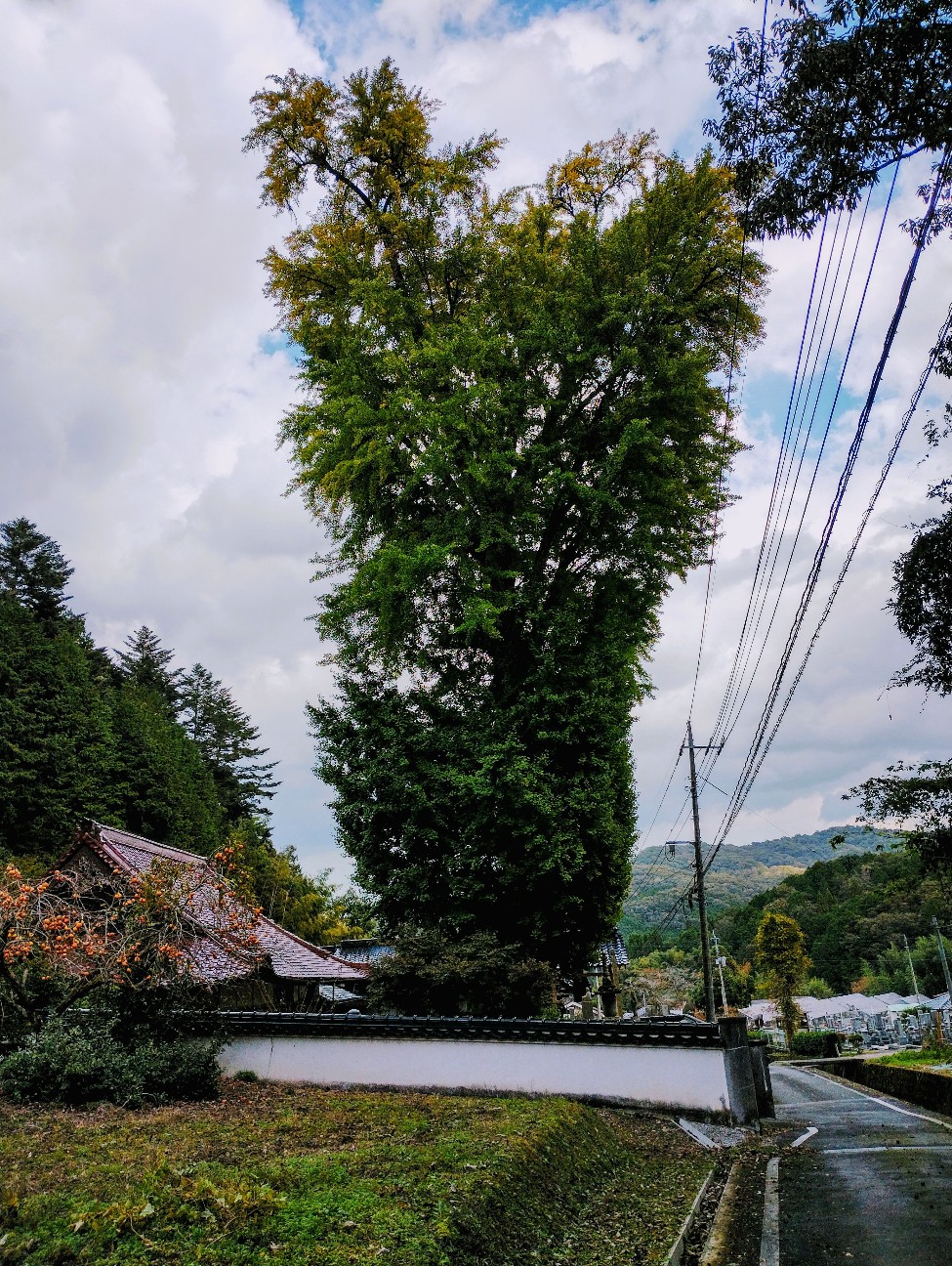 f:id:exmaruisu:20251103010203j:image f:id:exmaruisu:20251103010203j:image