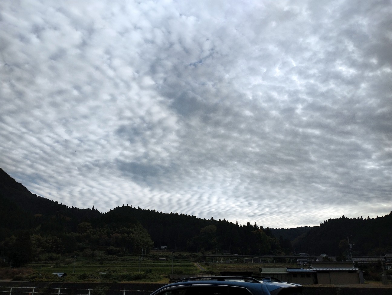 f:id:exmaruisu:20251109021225j:image