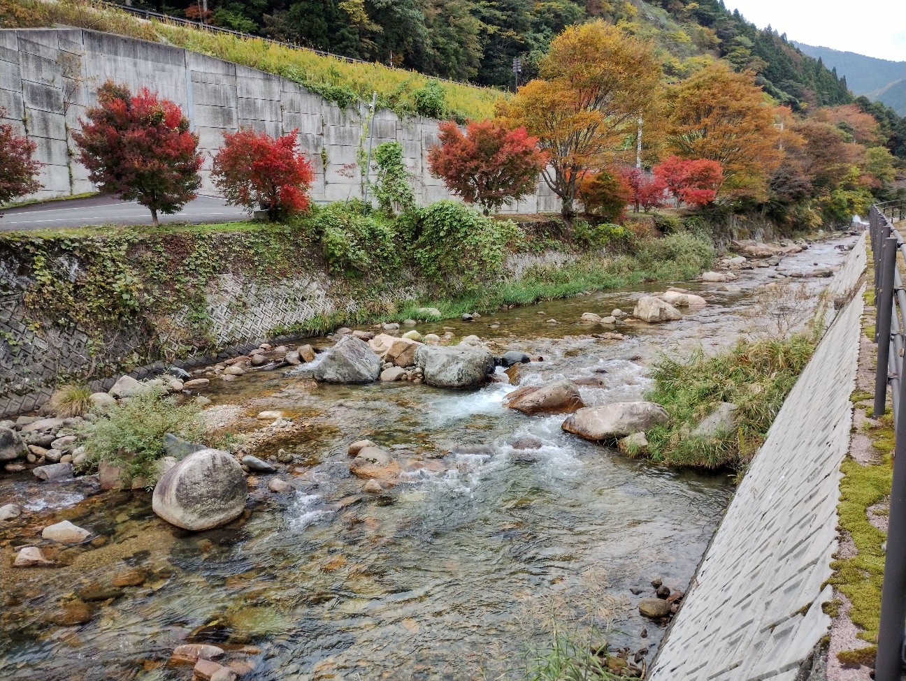 f:id:exmaruisu:20251109021318j:image