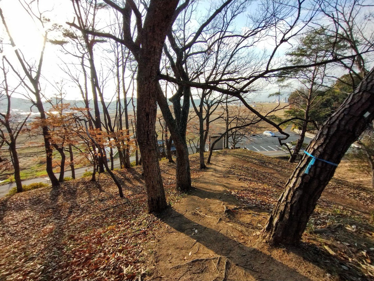 f:id:exmaruisu:20251220192435j:image