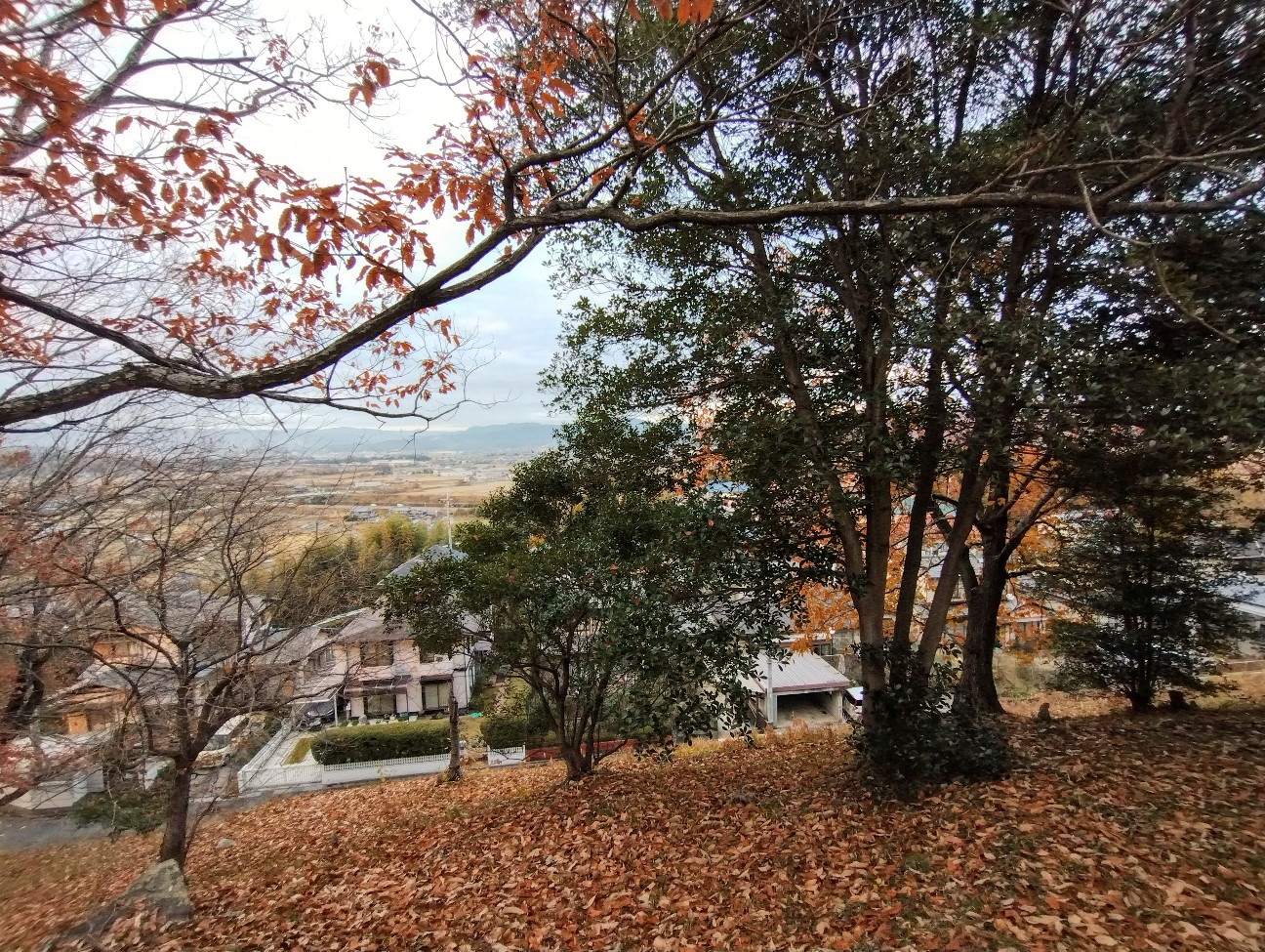 f:id:exmaruisu:20251220193031j:image