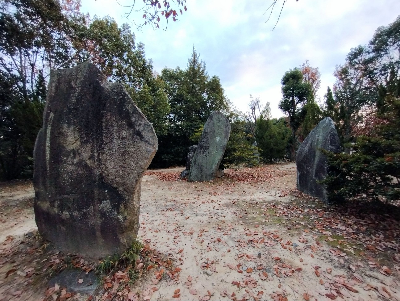 f:id:exmaruisu:20251220193040j:image