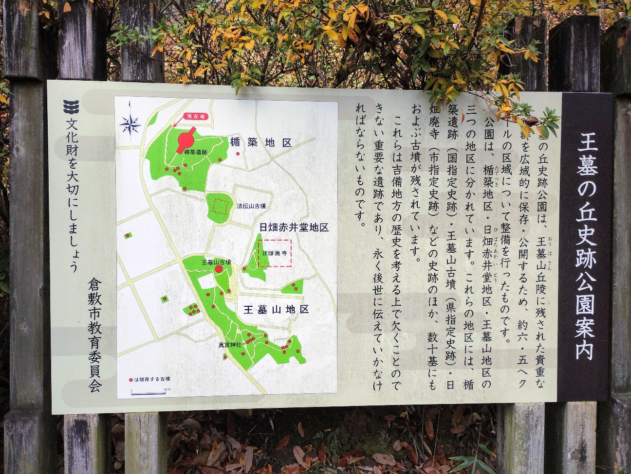 f:id:exmaruisu:20251220193136j:image