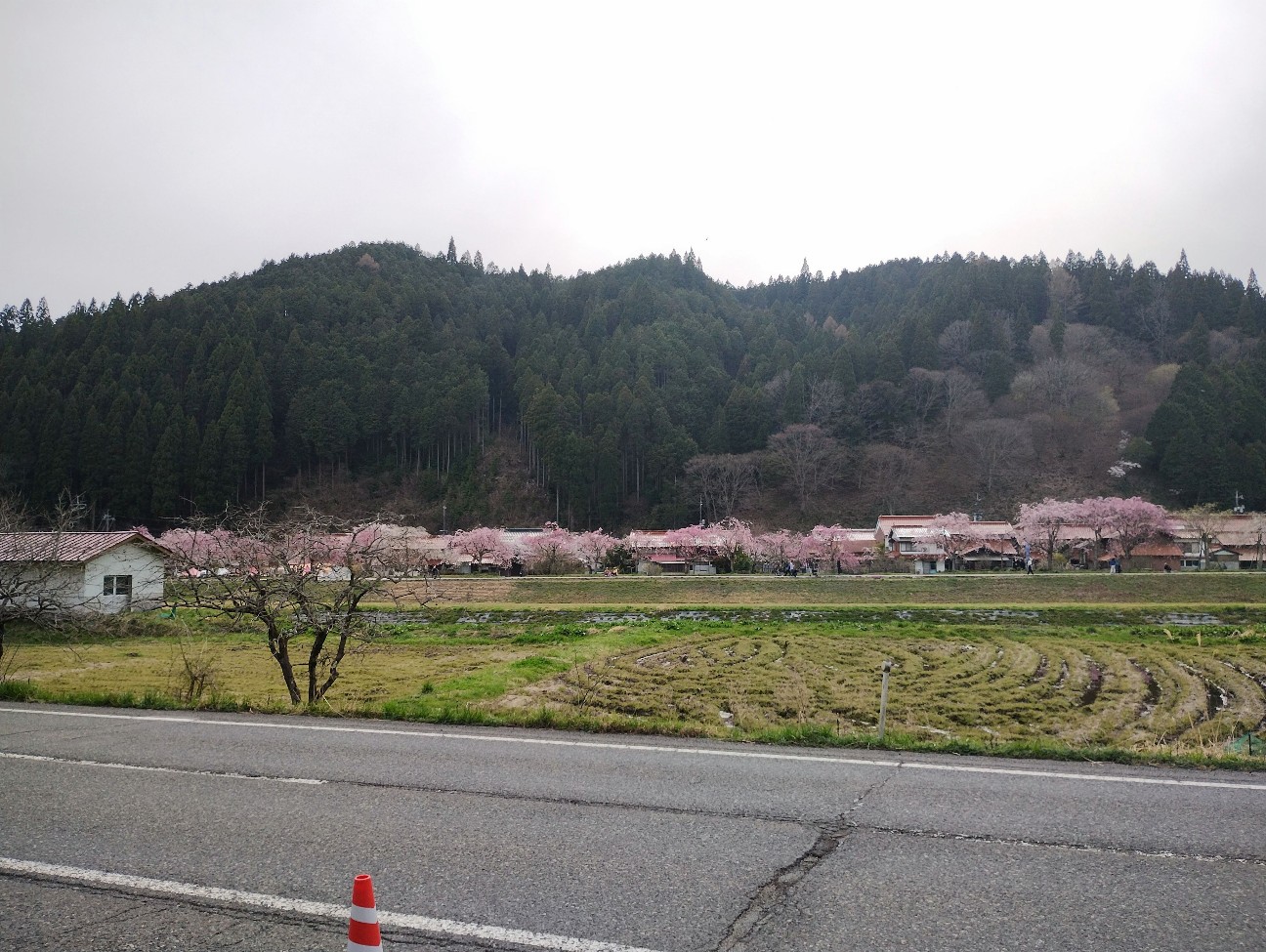 f:id:exmaruisu:20260412215819j:image