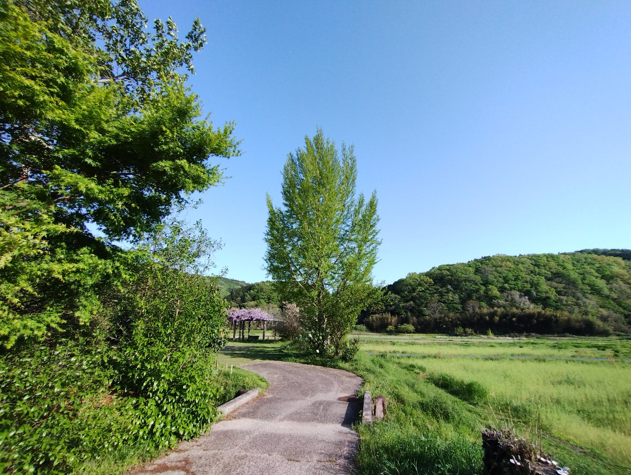f:id:exmaruisu:20260425211605j:image