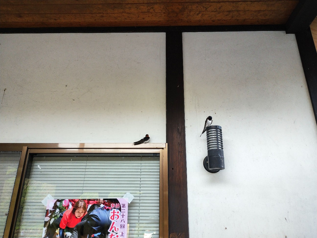 f:id:exmaruisu:20260502215449j:image