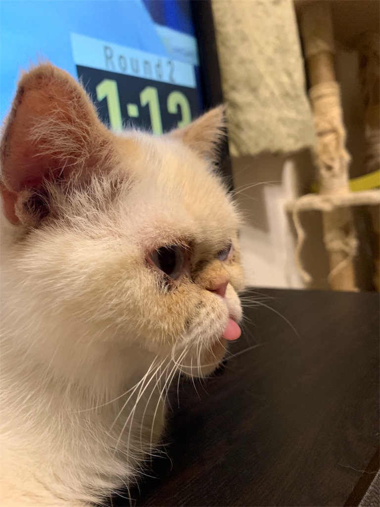 f:id:exo-ganmo:20190715162518j:image f:id:exo-ganmo:20190715162518j:image