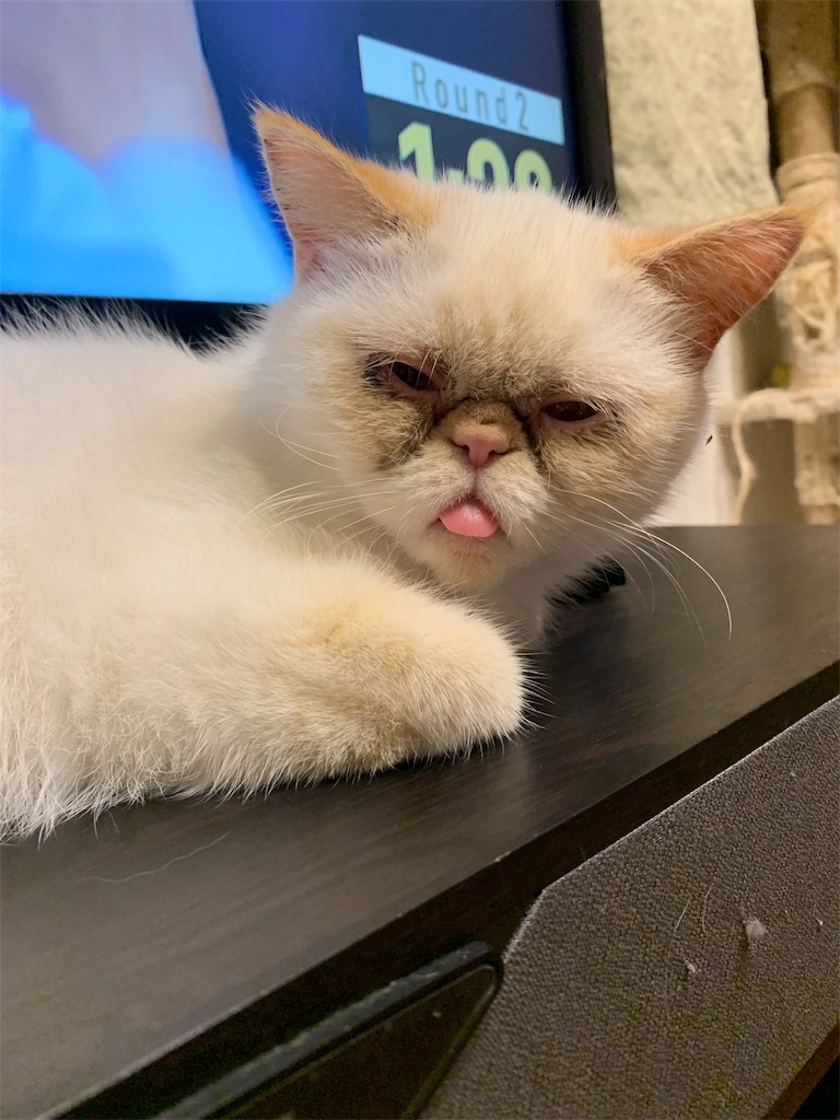 f:id:exo-ganmo:20190715162523j:image f:id:exo-ganmo:20190715162523j:image
