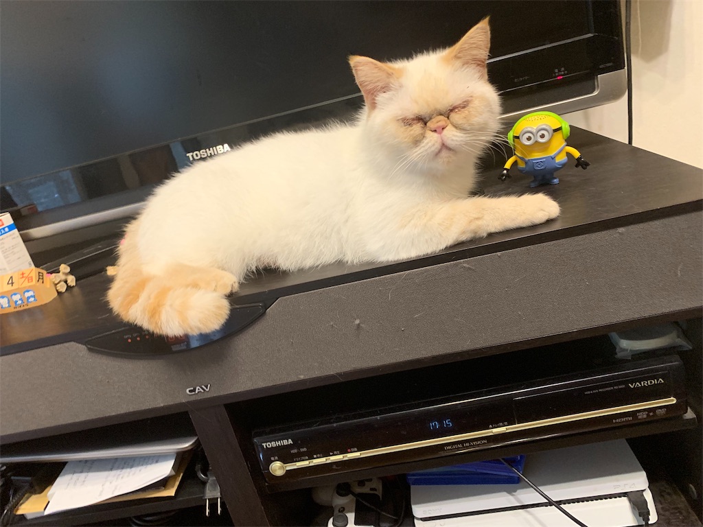 f:id:exo-ganmo:20190718065259j:image f:id:exo-ganmo:20190718065259j:image