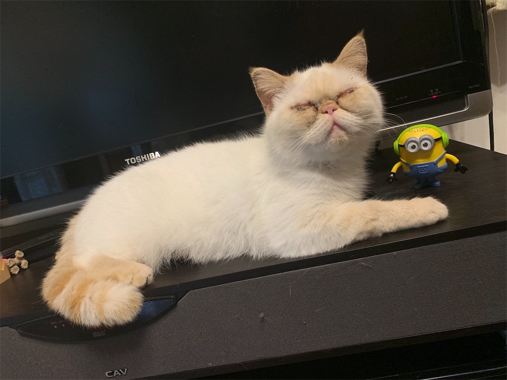 f:id:exo-ganmo:20190718065302j:image f:id:exo-ganmo:20190718065302j:image