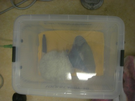 f:id:exotic-ah:20091012143619j:image