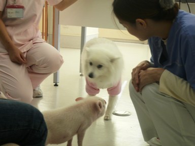 f:id:exotic-ah:20100106140048j:image