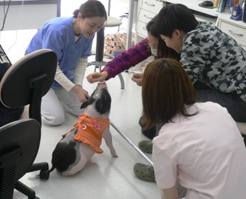 f:id:exotic-ah:20100106145358j:image