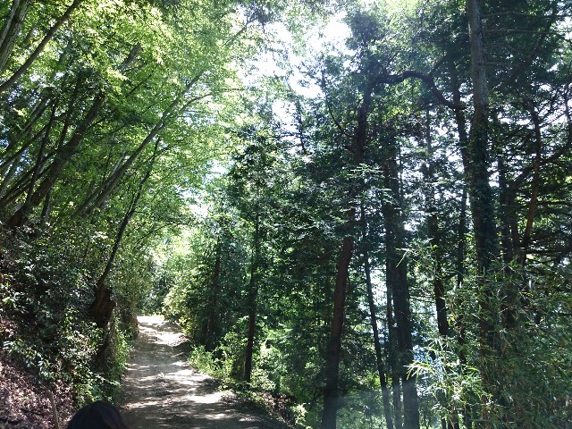 f:id:experico:20180726201258j:image f:id:experico:20180726201258j:image