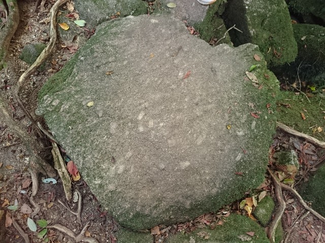 f:id:experico:20190218205857j:image f:id:experico:20190218205857j:image