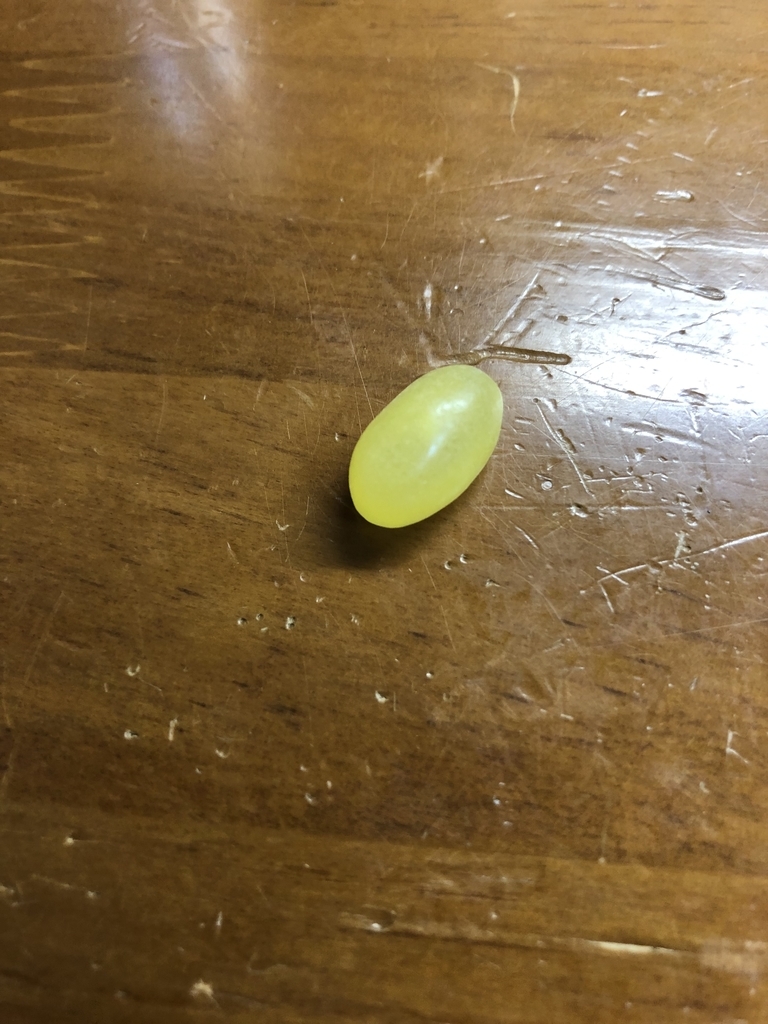 f:id:explodedplum:20190311004710j:plain f:id:explodedplum:20190311004710j:plain