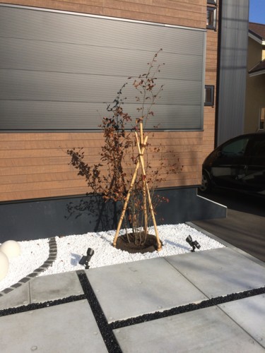 f:id:exterior-the-house:20151030135922j:image f:id:exterior-the-house:20151030135922j:image