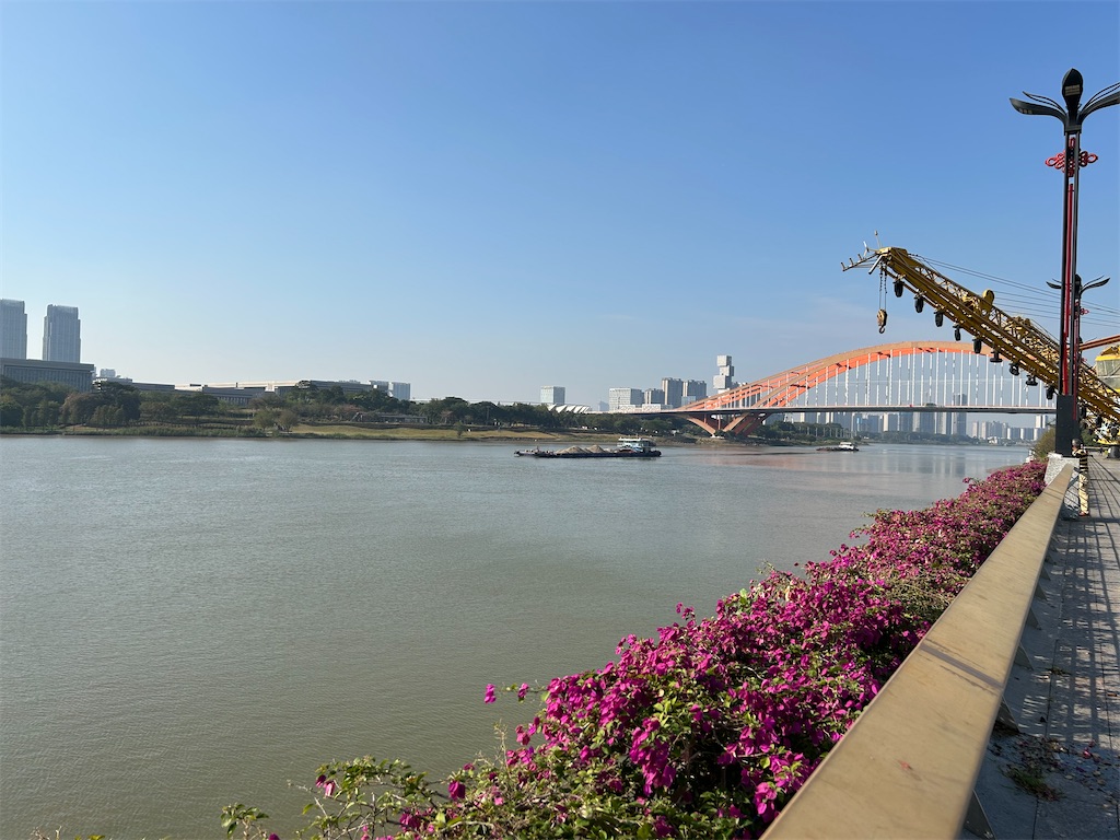 f:id:external-storage-area:20251221105726j:image